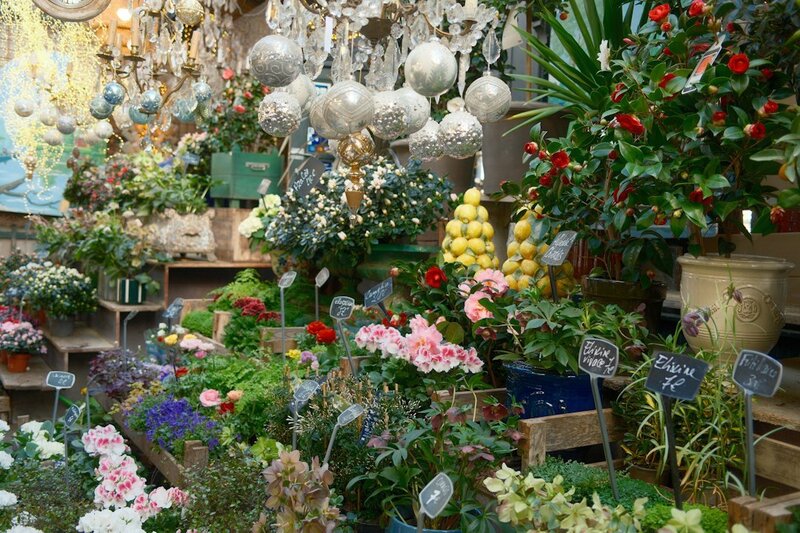Das Gartenfest im Schlosspark Laubach