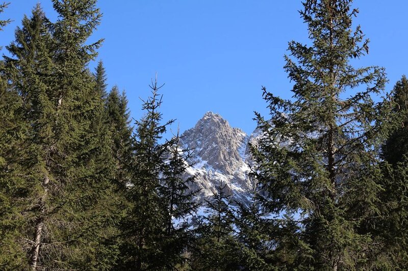 Kleinwalsertal - Hotel Alpenrose