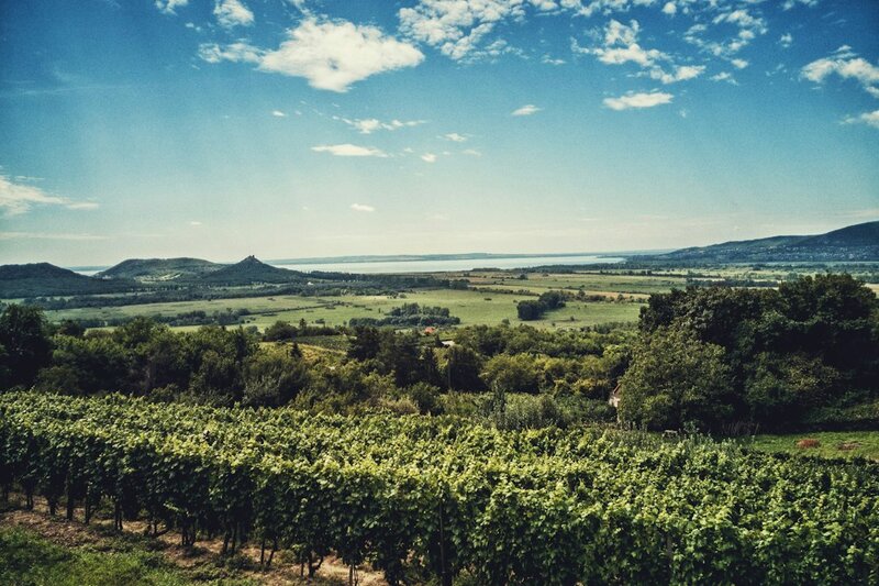 Plattensee, Budapest und Puszta &ndash; Bild 2