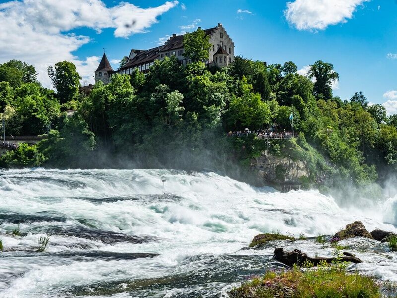 Mit allen Wassern gewaschen - Donau, Bodensee &amp; Schwarzwald