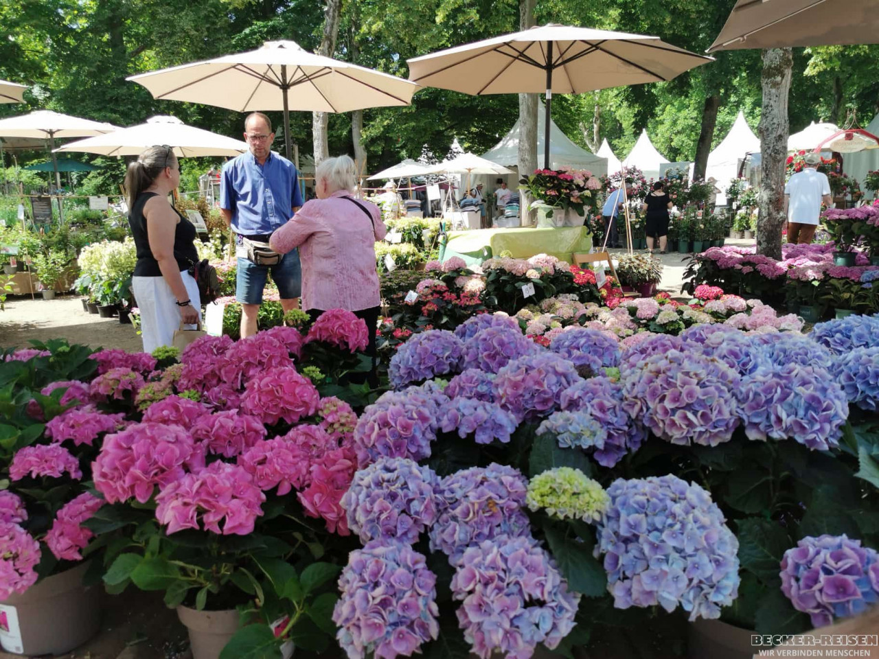gartenfestival 2025