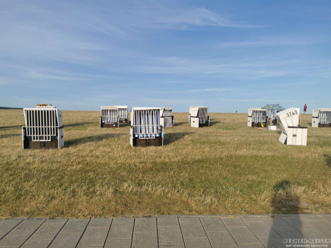 b2ap3_thumbnail_becker-reisen-nordsee2026-9 Anreise nach Dageb&uuml;ll &ndash; Nordseeluft, Deichromantik und ein gelungener Auftakt - Reisejournal