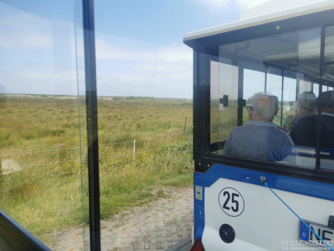 b2ap3_thumbnail_becker-reisen-nordsee2026-2-15 Tagesausflug zur Insel Amrum - Reisejournal