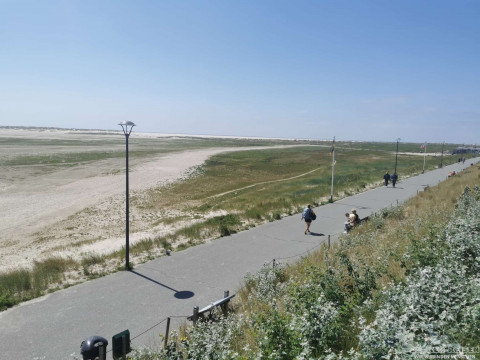 b2ap3_thumbnail_becker-reisen-nordsee2026-2-7 Tagesausflug zur Insel Amrum - Reisejournal