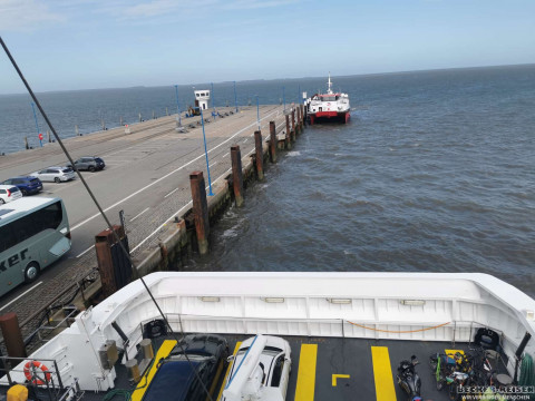 b2ap3_thumbnail_becker-reisen-nordsee2026-2-9 Tagesausflug zur Insel Amrum - Reisejournal