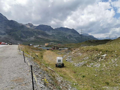 b2ap3_thumbnail_beckerreisen-schweiz2026-berninaexpress16 Mit dem Bernina-Express von der Schweiz nach Italien - Reisejournal