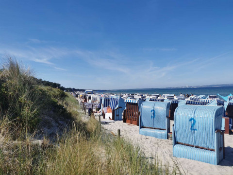 b2ap3_thumbnail_beckerreisen-stoertebecker-2026-30 R&uuml;gen &ndash; Inselgl&uuml;ck zwischen Ostsee, Sonne und St&ouml;rtebeker - Reisejournal