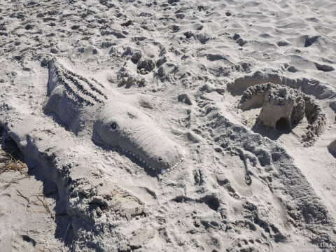b2ap3_thumbnail_beckerreisen-stoertebecker-2026-36 R&uuml;gen &ndash; Inselgl&uuml;ck zwischen Ostsee, Sonne und St&ouml;rtebeker - Reisejournal