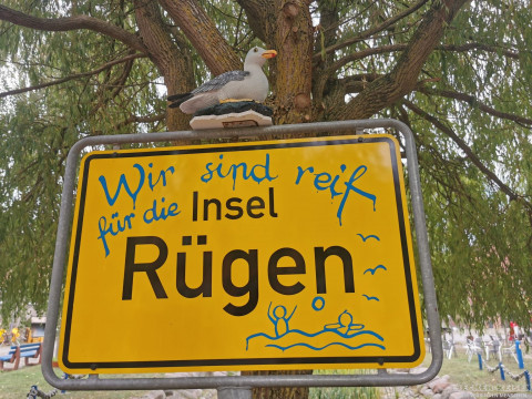 b2ap3_thumbnail_beckerreisen-stoertebecker-2026-39 R&uuml;gen &ndash; ein letzter wundersch&ouml;ner Tag und dann hei&szlig;t es Abschied nehmen - Reisejournal