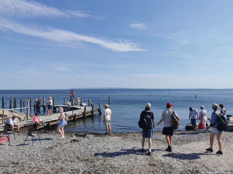 b2ap3_thumbnail_beckerreisen-stoertebecker-2026-61 R&uuml;gen &ndash; ein letzter wundersch&ouml;ner Tag und dann hei&szlig;t es Abschied nehmen - Reisejournal