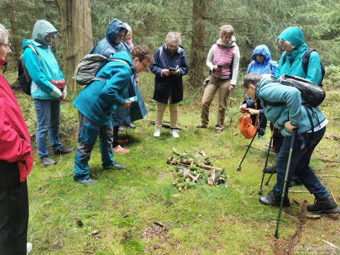 b2ap3_thumbnail_becker-gesundhetstag-waldspatziergang2 Waldbaden in Oberhof &ndash; gemeinsam durchatmen und genie&szlig;en - Reisejournal