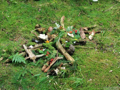 b2ap3_thumbnail_becker-gesundhetstag-waldspatziergang4 Waldbaden in Oberhof &ndash; gemeinsam durchatmen und genie&szlig;en - Reisejournal