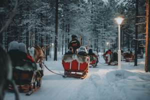 Weihnachtsfahrt ins Ahorn Waldhotel in Altenberg
