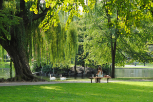Wörlitzer Park